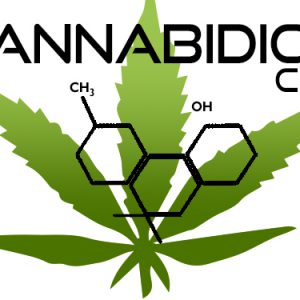 An image of a hemp leaf with the words “Cannabidiol CBD” to promote the CBD medicated patch from Frequency Apps